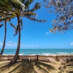 The Top 5 Must Do's While Visiting Mackay